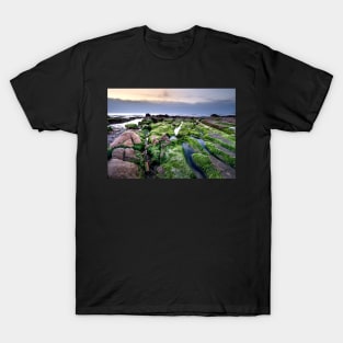 GREEN MOSS ON THE ROCKS DESIGN T-Shirt